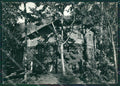 Genova Uscio Colonia Arnaldi Foto FG cartolina KV7490 – fronte