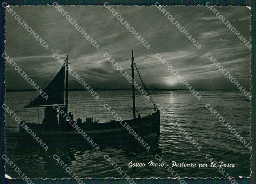 Forlì Gatteo Mare Foto FG cartolina KV7496 – fronte