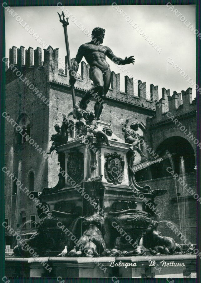 Bologna Città Nettuno Foto FG cartolina KV7521 – fronte