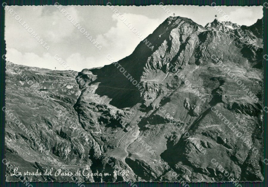 Brescia Passo Gavia Foto FG cartolina KV7523 – fronte