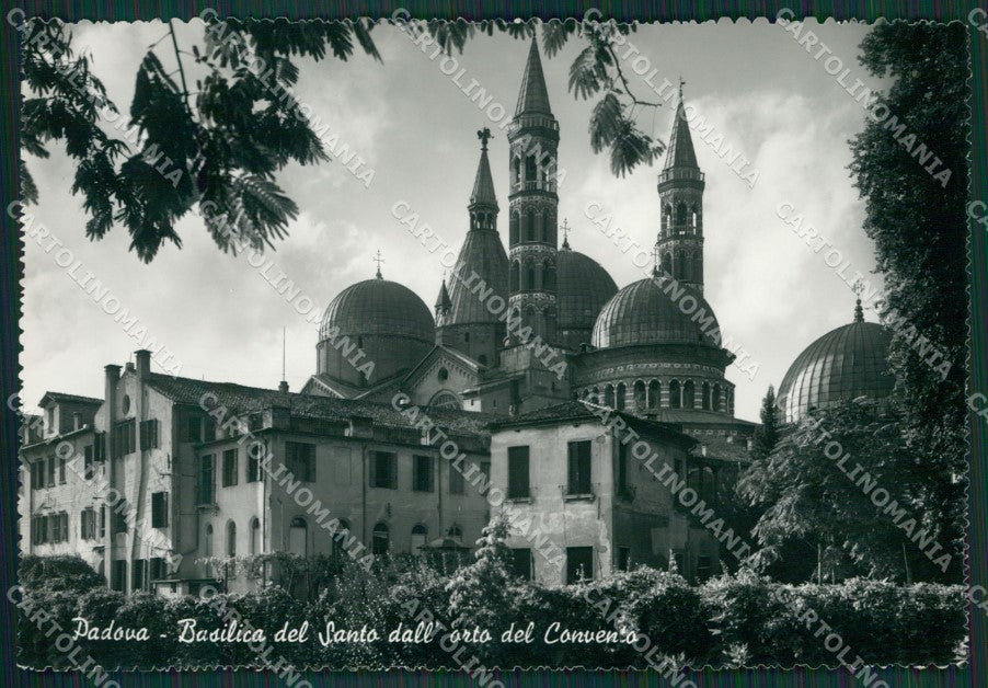 Padova Basilica Orto Foto FG cartolina KV7524 – fronte