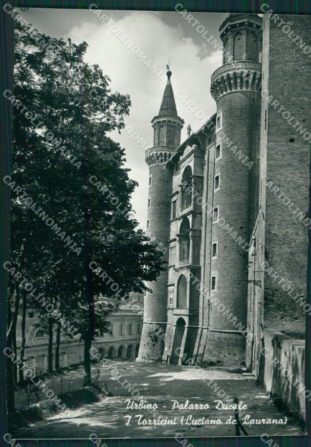 Pesaro Urbino Palazzo Ducale Foto FG cartolina KV7530 – fronte