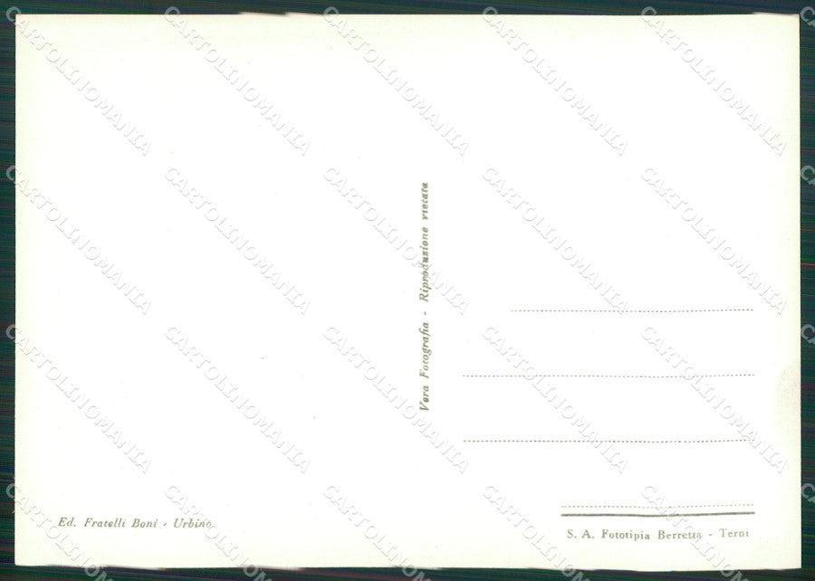 Pesaro Urbino Palazzo Ducale Foto FG cartolina KV7530 – retro