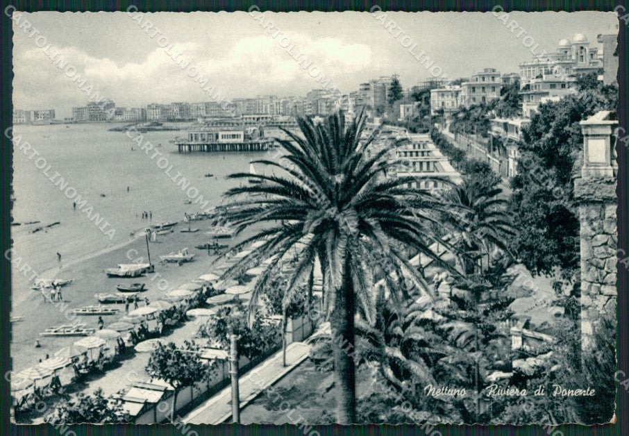 Roma Nettuno Foto FG cartolina KV7548 – fronte