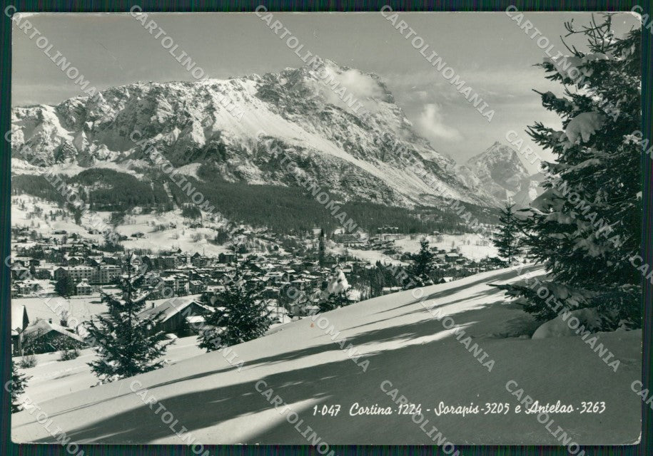 Belluno Cortina Serapis Antelao Foto FG cartolina KV7549 – fronte