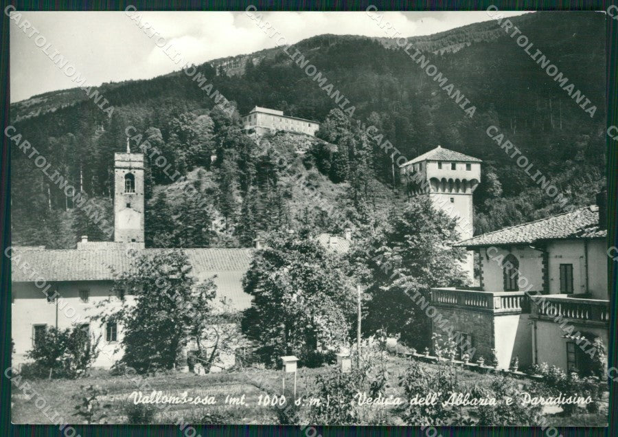 Firenze Reggello Vallombrosa Foto FG cartolina KV7554 – fronte