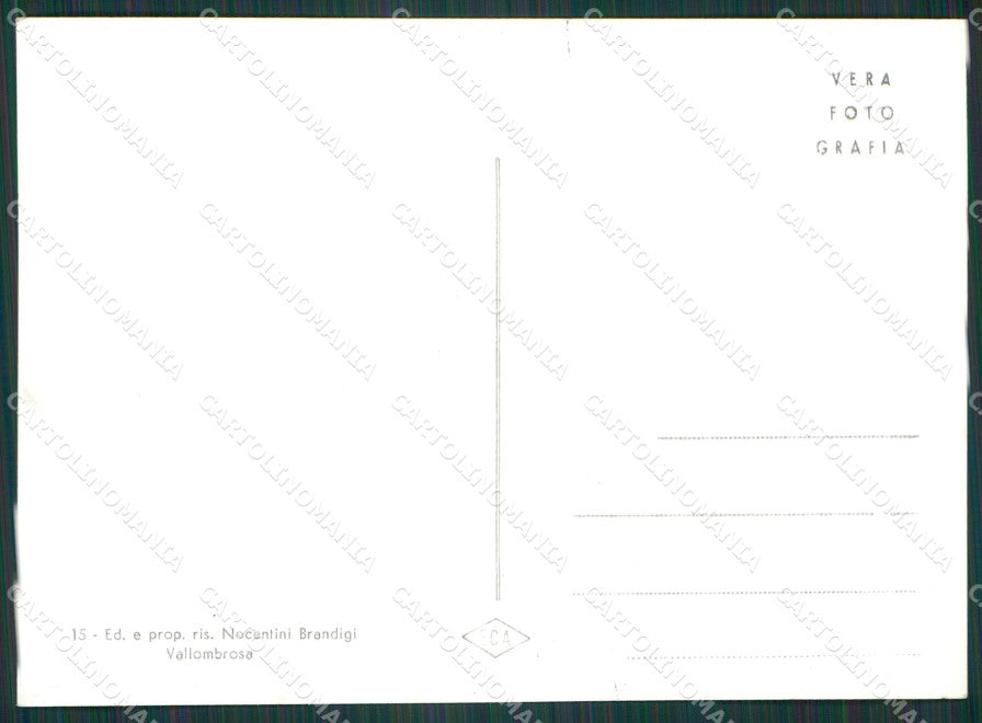 Firenze Reggello Vallombrosa Foto FG cartolina KV7554 – retro