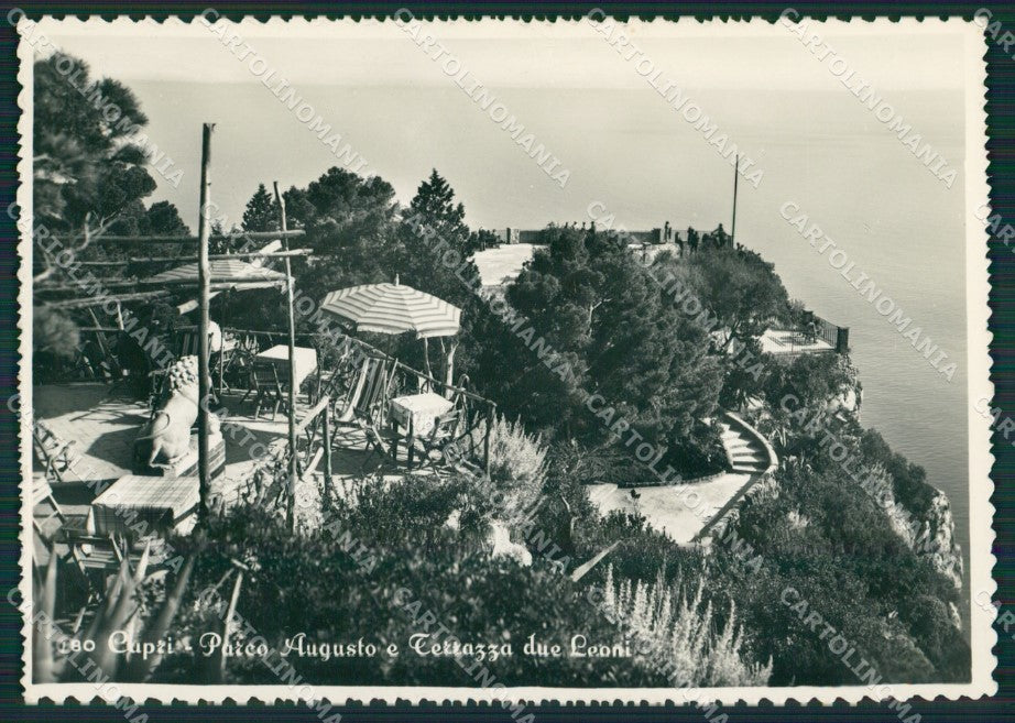 Napoli Capri Foto FG cartolina KV7555 – fronte