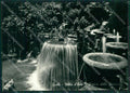 Roma Tivoli Villa d'Este Fontana Foto FG cartolina KV7560 – fronte