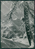 Sondrio Campodolcino Casa Alpina di Motta Nevicata Foto FG cartolina KV7566 – fronte