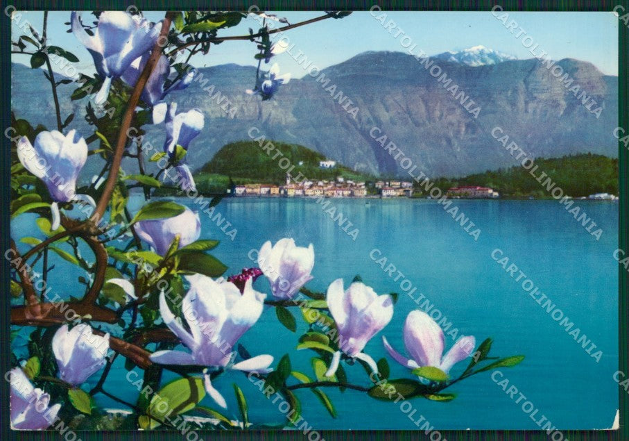 Como Bellagio Lago di Como Foto FG cartolina KV7615 – fronte