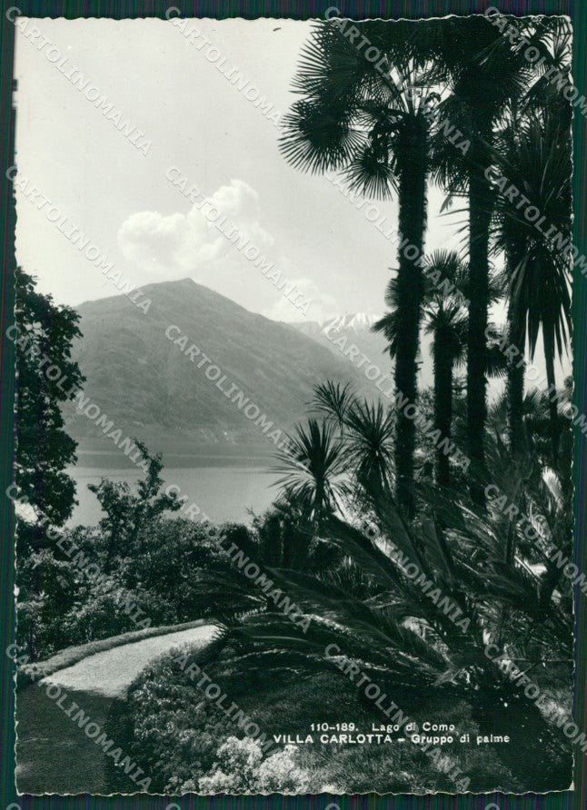 Como Città Villa Carlotta Lago di Como Foto FG cartolina KV7654 – fronte