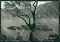 Como Ossuccio Isola Comacina Lago di Como PIEGHE Foto FG cartolina KV7675 – fronte