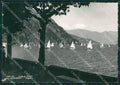 Como Menaggio Lago di Como Regate Foto FG cartolina KV7686 – fronte