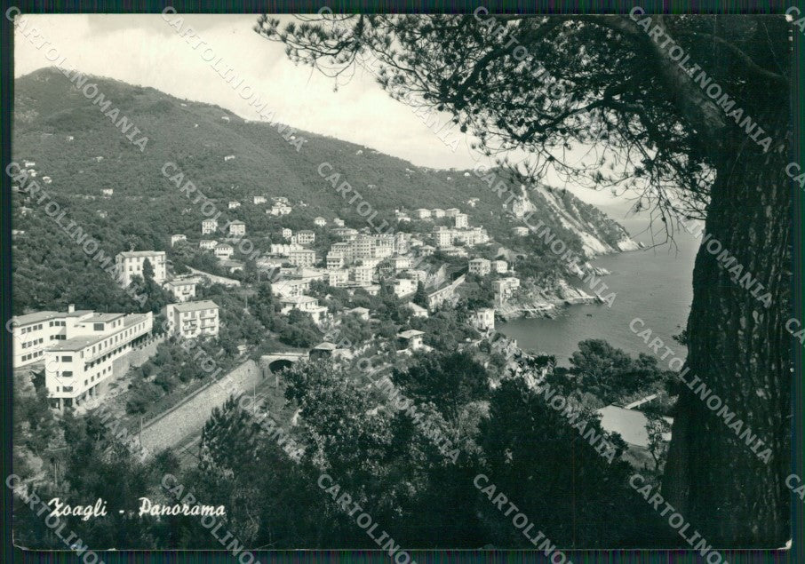 Genova Zoagli PIEGHINA Foto FG cartolina KV7720 – fronte