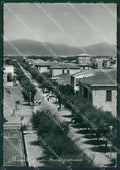 Grosseto Marina di Foto FG cartolina KV7728 – fronte