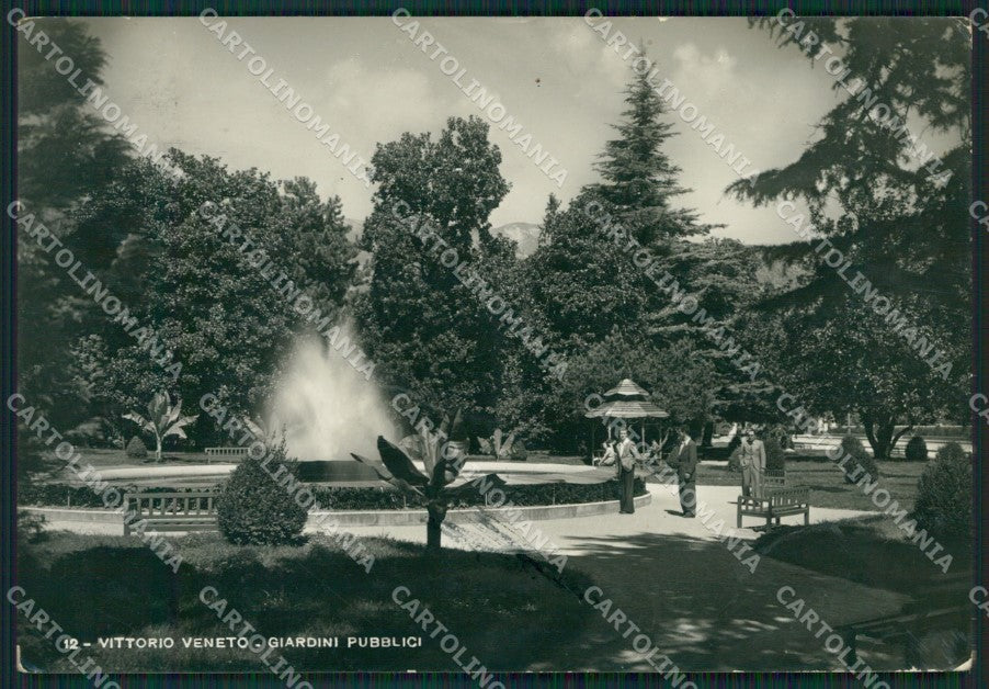 Treviso Vittorio Veneto PIEGA Foto FG cartolina KV7827 – fronte