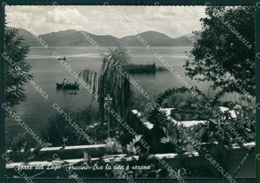 Lucca Viareggio Torre del Lago Puccini Foto FG cartolina KV7931 – fronte