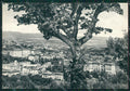Siena Chianciano Terme FG cartolina KV7950 – fronte