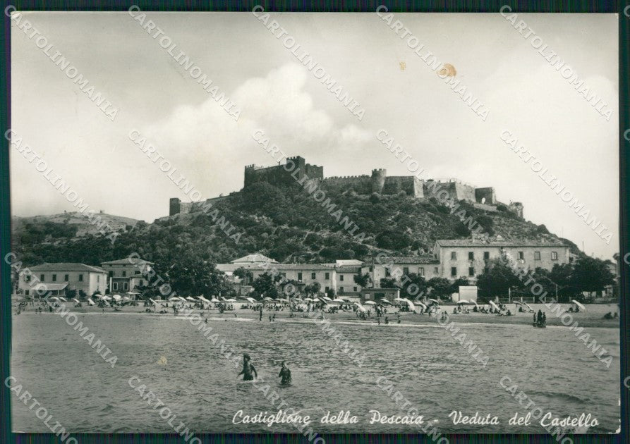 Grosseto Castiglione della Pescaia MACCHIA Foto FG cartolina KV7955 – fronte
