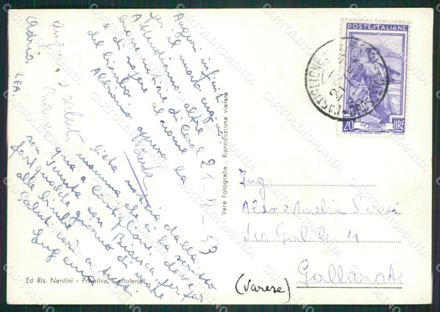 Grosseto Castiglione della Pescaia MACCHIA Foto FG cartolina KV7955 – retro