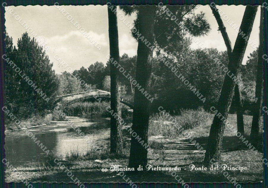Lucca Pietrasanta Marina di Foto FG cartolina KV7964 – fronte