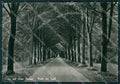 Lucca Viareggio Torre del Lago Puccini Foto FG cartolina KV7989 – fronte