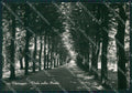 Lucca Viareggio Foto FG cartolina KV7990 – fronte