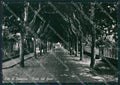 Lucca Camaiore Lido di Foto FG cartolina KV7995 – fronte