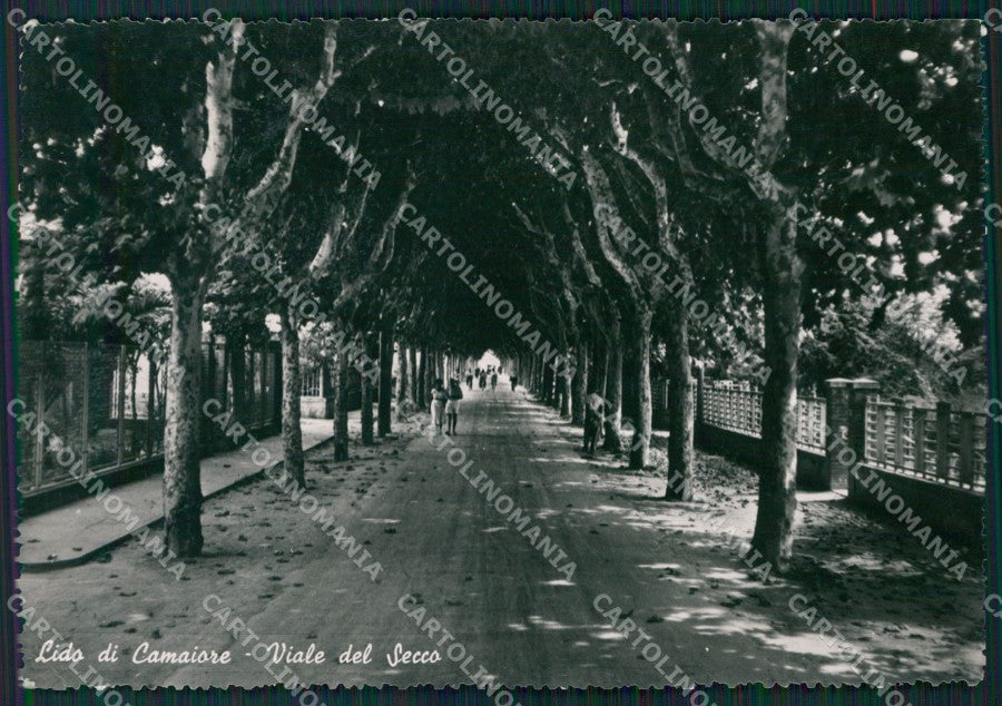 Lucca Camaiore Lido di Foto FG cartolina KV7995 – fronte
