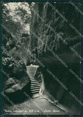 Arezzo Chiusi Verna Foto FG cartolina KV8012 – fronte