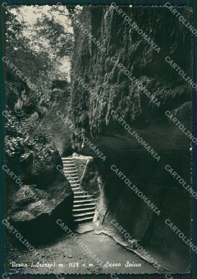 Arezzo Chiusi Verna Foto FG cartolina KV8012 – fronte