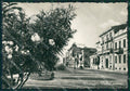 Lucca Viareggio Foto FG cartolina KV8017 – fronte