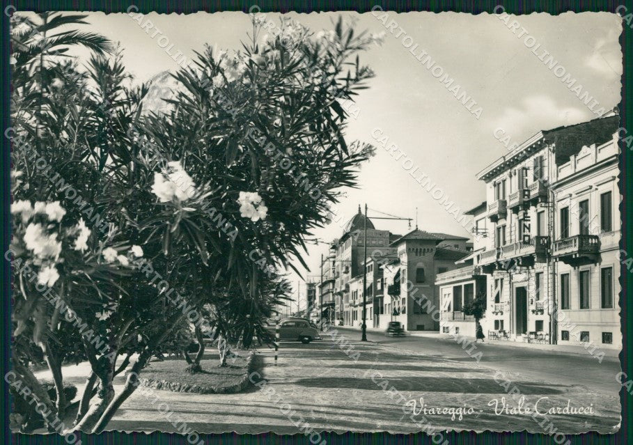Lucca Viareggio Foto FG cartolina KV8017 – fronte