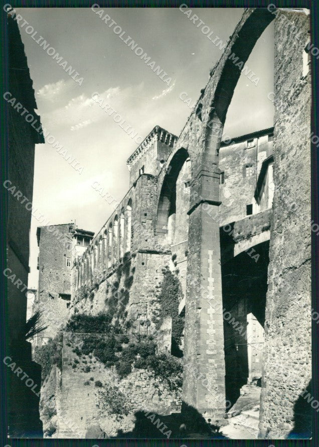 Grosseto Pitigliano Acquedotto Mediceo Foto FG cartolina KV8032 – fronte