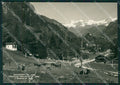 Aosta Gressoney Saint Jean Parletoa Mucche Foto FG cartolina KV8095 – fronte