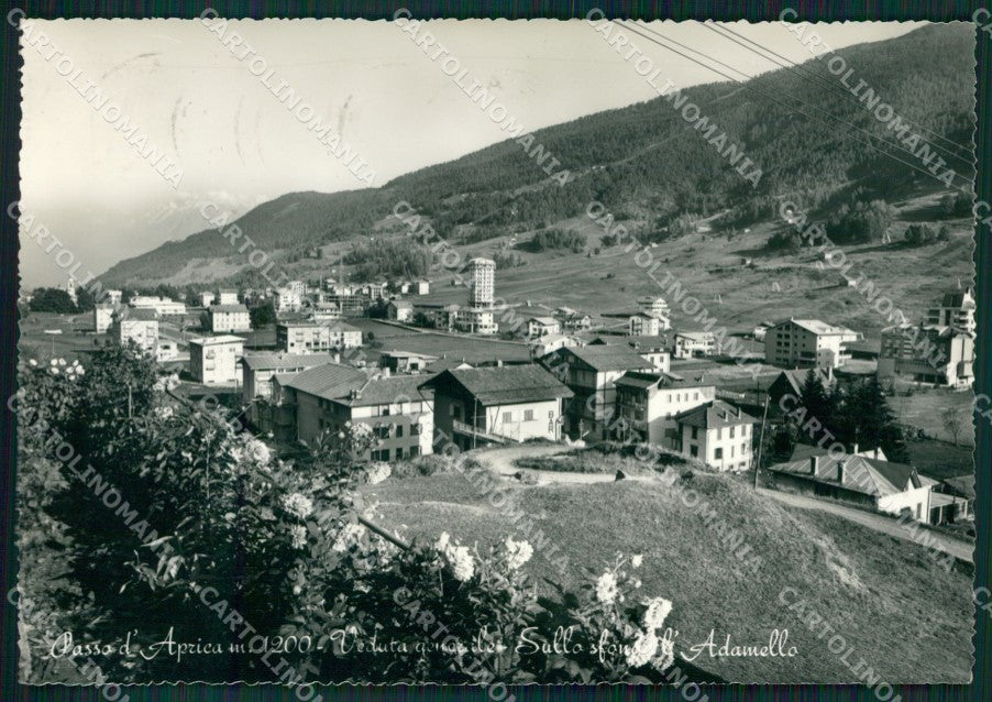 Sondrio Passo dell'Aprica Adamello Foto FG cartolina KV8115 – fronte