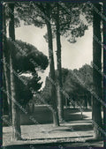 Ravenna Cervia Milano Marittima Foto FG cartolina KV8133 – fronte