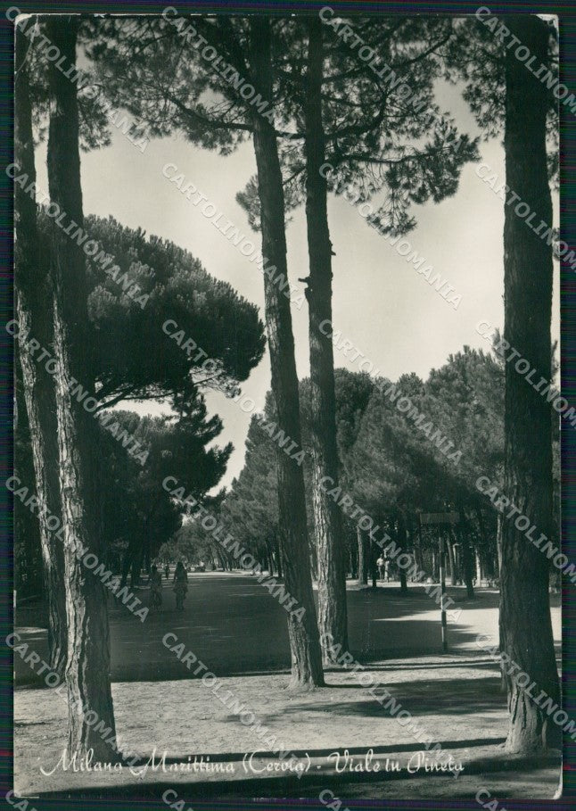 Ravenna Cervia Milano Marittima Foto FG cartolina KV8133 – fronte