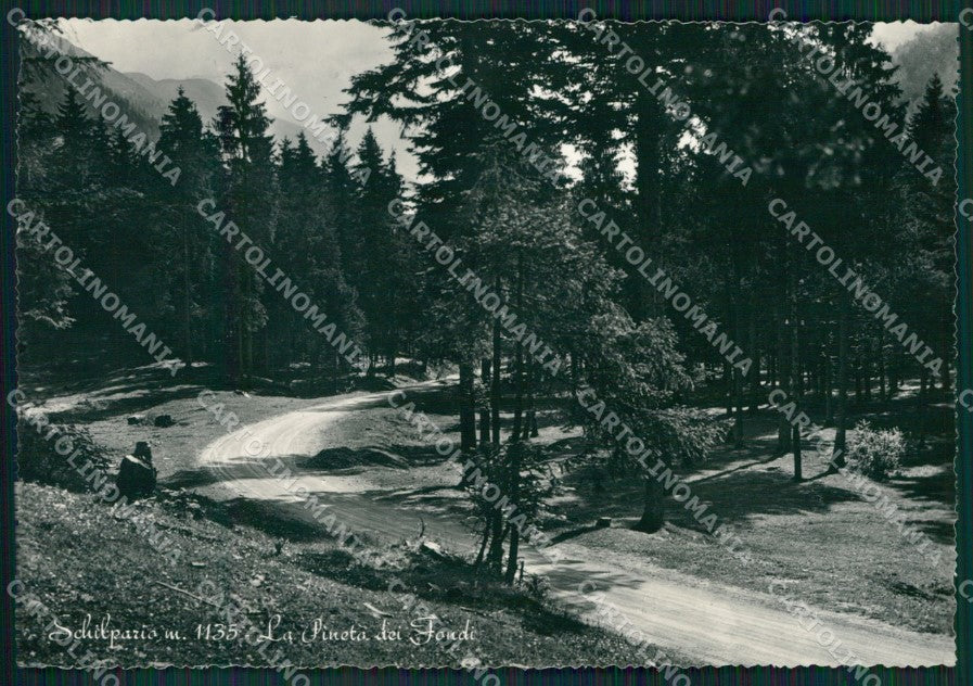 Bergamo Schilpario Foto FG cartolina KV8145 – fronte