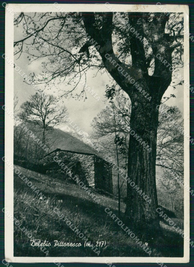 Sondrio Delebio ANGOLINO SCOLLATO Foto FG cartolina KV8152 – fronte