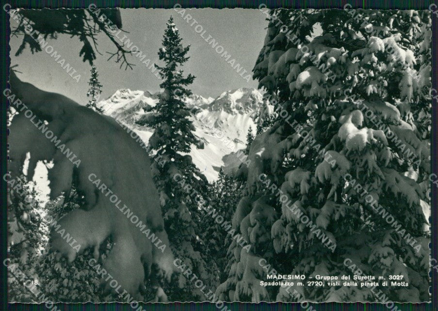 Sondrio Madesimo Nevicata Gruppo del Suretta Foto FG cartolina KV8155 – fronte