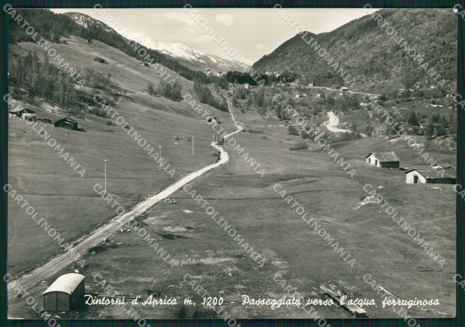 Sondrio Aprica Foto FG cartolina KV8176 – fronte