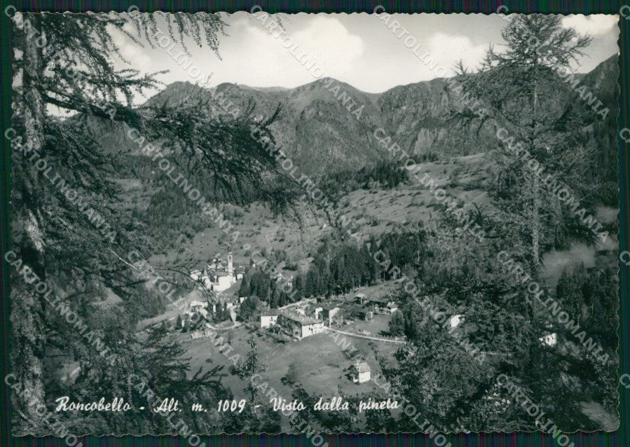 Bergamo Roncobello Foto FG cartolina KV8179 – fronte