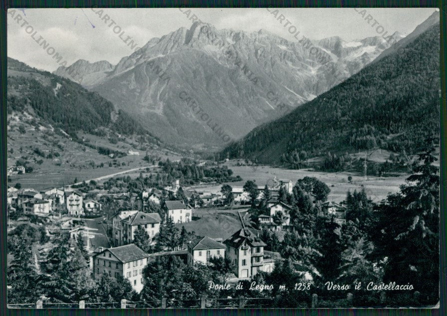 Brescia Ponte di Legno Castellaccio Foto FG cartolina KV8262 – fronte
