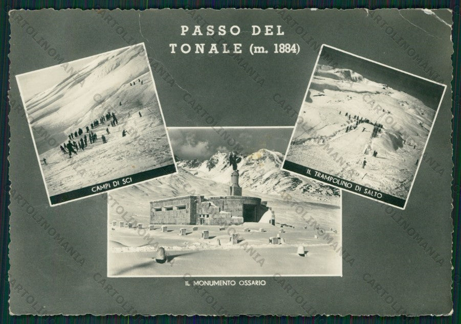 Trento Passo del Tonale Sci PIEGHINE Foto FG cartolina KV8280 – fronte