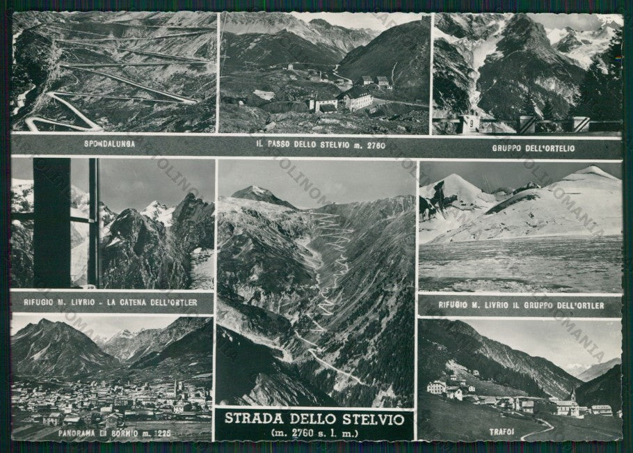 Bolzano Strada dello Stelvio Foto FG cartolina KV8287 – fronte