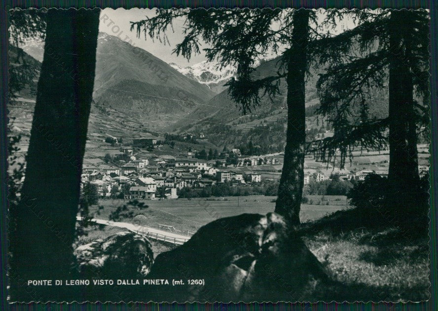 Brescia Ponte di Legno Foto FG cartolina KV8293 – fronte