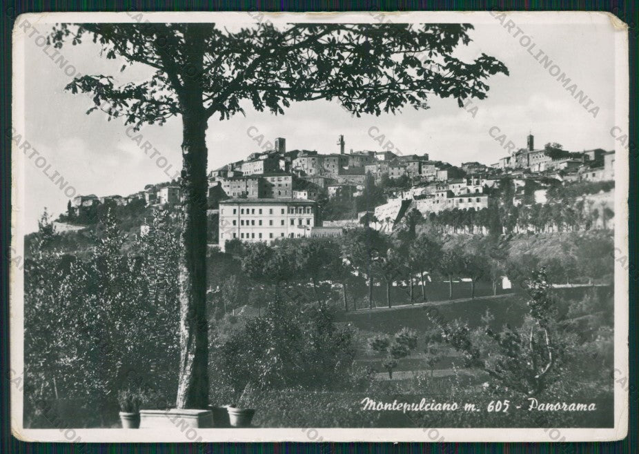 Siena Montepulciano Foto FG cartolina KV8298 – fronte