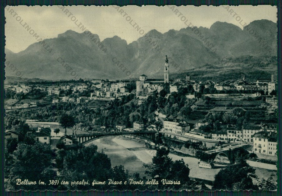 Belluno Città FG cartolina KV8343 – fronte